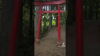 林道を少し入った悲運の姫と従者にまつわる神社だそうです。氏子さんがお世話をしているようで整然としています。#shrine #神社 #雛鶴 #林道 #あなたにおすすめ #セロー   #姫 #view