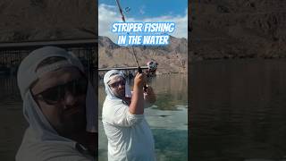 Striped Bass Fishing at Willow Beach Arizona #willowbeach #stripedbass #stripedbassfishing #arizona