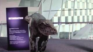 Primeval Pictures: Raptor (Series 5)