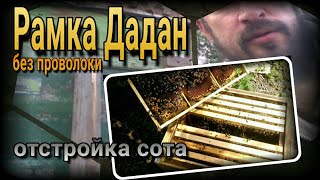 🐝🍯Как уменьшить магнитное воздействие на пчел.Рамка Дадан без проволоки- отстройка сота Пчеловодство