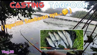 CASTING TARPOON ( Ngeriiii Sambaran nya...🤭 ) Vlog.88