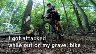 the day I was attacked while riding my gravel bike