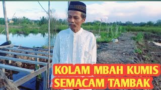 LUAR BIASA PAK KUMIS PUNYA KOLAM SELUAS SETENGAH HEKTARE