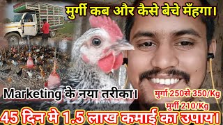 मुर्गी कब और कैसे बेचे मँहगा। Poultry Market new method. Sonali, Kadaknath, Ffg, Rir, Murgi Palan.