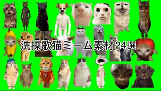 洗操歌猫ミーム素材24選#猫ミーム#猫ミーム素材