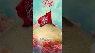 Badshah Hamara Ya Hussainع 🌺❤ | Nadeem sarwar #Imamhussain #noha