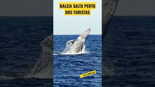 BALEIA SALTA PERTO DOS TURISTAS #shortsviral #shortsvideo #shorts #shortsfeed