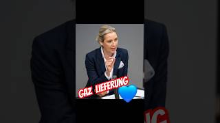 #politik #aliceweidel #kanzler #nordstream2