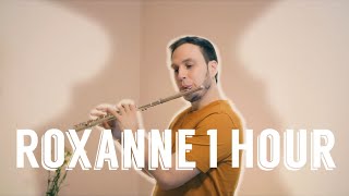 Arizona Zervas - Roxanne [1 Hour Flute cover]