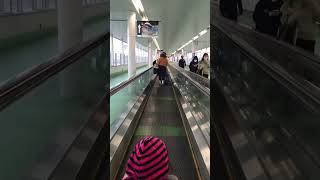 Pina abtik na lakaw sa Chubu international airport, Japan