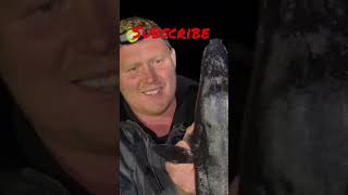 Conger eel fishing  For Beginners subscribe