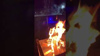 #animals #video #live #fire #family