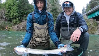 Steelhead Fishing “How-to” Tips for Catching Steelhead on Bobber and Bead - Northern California