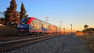 Coast Starlight train number #1011? with ALC-42's 307 and 339 giving a hornshow 10/14/24