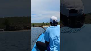 sound of natur sealing to Pink Beach  Lombok