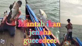 Mancing Dasaran Disambar Ikan Tompel