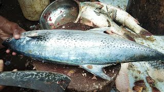 Bangladeshi Fisherman Amazing Surmai Fish Cutting Skills At Fish Market 2020, King Mackerel Cutting