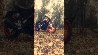 Crazy lOok yamaha mt 15...@hm_vlogs28  #viral #shortsfeed #shorts #modified