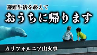 いつまでもここには居られない💦まだ山火事は続いているけど帰宅して現実に戻ります！ #カリフォルニア #山火事【1歳】