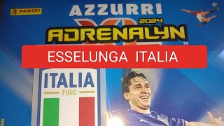 ESSELUNGA ADRENALYN ITALIA CARD EURO GERMANY 2024 CALCIO FEMMINILE DONNE CODICI PANINI TOPPS FIRMATE