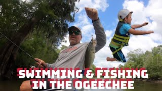 Swimming and Fishing in the Ogeechee River #fishing #swimming #boating