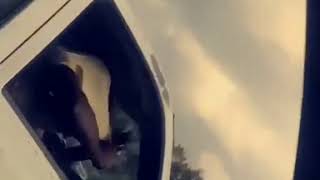 guy jumps out a vehicle while it's driving