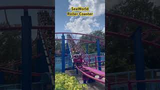 ROLLER COASTER SEA WORLD |Orlando Florida