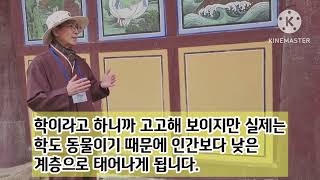 팔공총림 동화사 대웅전 벽화(제23대조사 학륵나존자)