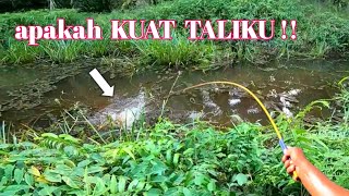 MANCING BETOK DI SINI BANYAK DAPAT JACKPOT