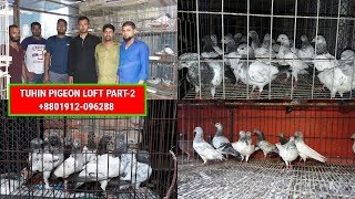 তুহিন ভাই এর কবুতরের লফ্ট পার্ট - ২ | TUHIN PIGEON LOFT PART-2 | pigeon videos | Pigeons Market.net