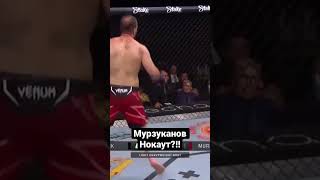 Мурзуканов Нокаут?! #sports #ufc #fight #popmma #mma #мма #dagestan #дагестан #чечня #chechen #sport