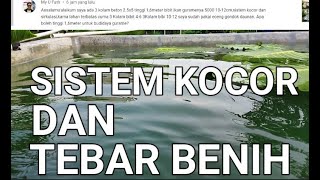 CARA BUDIDAYA IKAN GURAME DI KOLAM BETON - SISTEM KOCOR DAN TEBAR BENIH