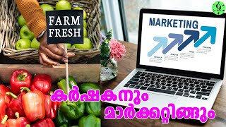 കർഷകനും മർക്കറ്റിങ്ങും| Farmer and marketing|Aadu valarthan|Muyalvalarthal|CJ Farms