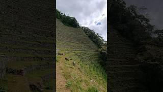 Inka Trail Terraces on the way to #machupicchu #peru #travel #explore #adventure