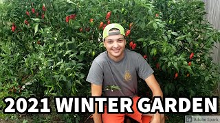 2021 Winter Garden