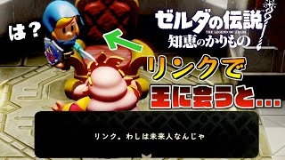 バグでリンクで無理やり王に会うと絶対に言わないセリフが出てきて鳥肌が立った...【ゼルダの伝説知恵のかりもの#】【知恵のかりもの】