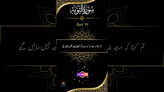 Surah Tawba Ayat 94 Urdu Translation #taubah #tawbah #islam #quran  #shorts #trending #surah  #allah