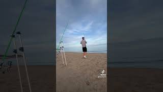 Qué bonito cuando das con ellas 🥰 #pesca #fishing #surfcasting #palometa #playa