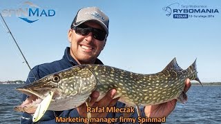 SpinMad - Rafał Mleczak