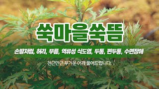 평택쑥뜸 쑥마을쑥뜸