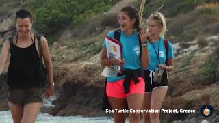 Volunteer in Greece with Sea Turtles! 🇬🇷