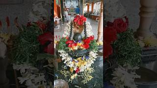 Shivaya pooja || kartika masam day 9 || Shiva|| maha Shaktivanthamaina shiva pooja