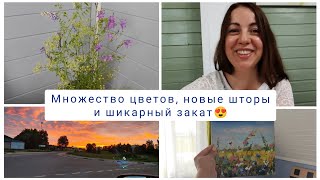 Множество цветов, новые шторы и шикарный закат 😍