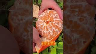 Amazing Fruits cutting❤🥭🍑🍉🍇🍇#youtubeshorts #fruitcutting #fruits#Foodie Heaven