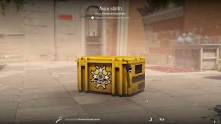 DAY 293 OPENING CS2 CASES UNTIL I GET GOLD!