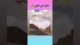 وش دخل الآية في الموضوع 😂🤣 هاهاهاها #المغرب #الجزائر #reelsvideo #reels #morocco