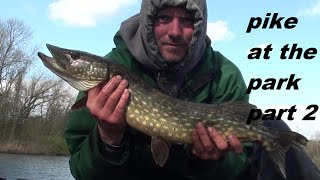 fishing Blackpool's Stanley park lake pike part 2