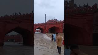 Delhi Lal kila full barish #yshorts #funny #funnycomedy #dehli #india