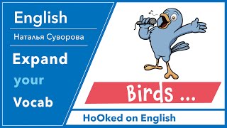 Birds. Как сказать: Птицы щебечут. Ворона каркает.  Сова ухает. Чайки кричат