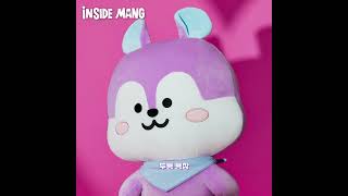 BT21 inside MANG💜